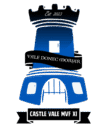 Castle Vale FC castle vale